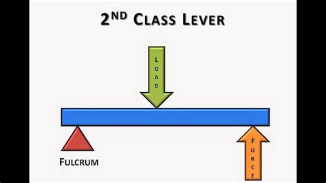 2nd Class Lever Video Youtube