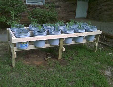 Raised Planting Beds Using 5 Gallon Buckets But Could Be Movable With