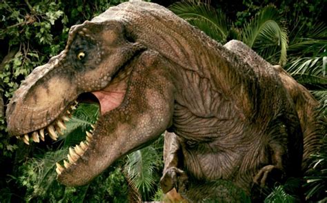 Tyrannosaur Doe Jurassic Park Wiki Fandom Powered By Wikia