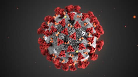China coronavirus update with statistics and graphs: Coronavirus Disease Identified In China Gets An Official ...