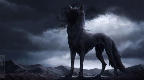 2560x1440 Wolf In Shadow 4k 1440p Resolution Hd 4k Wallpapersimages