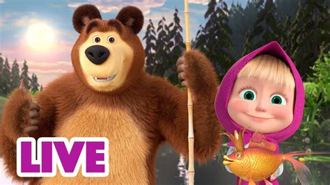 ماشا والدب 👱‍♀️ Live Stream 🌄🐋 قصص جميلة 🌄🐋 Masha And The Bear Youtube