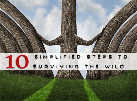 10 Simplified Wilderness Survival Steps Geek Prepper