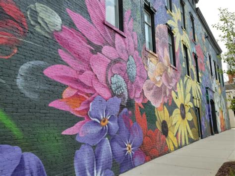 Murals In Jackson Michigan Bright Walls Best Street Art