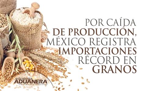 Por Caída De Producción México Registra Importaciones Récord En Granos