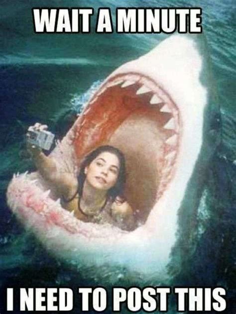 Most Crazy Selfies You Should Never Be A Part Of