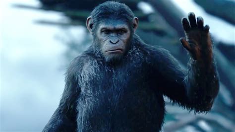 Dawn Of The Planet Of The Apes Trailer 3 Trailers And Videos Rotten