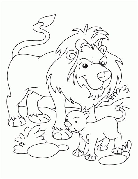 Lion And Lamb Drawing At Getdrawings Free Download