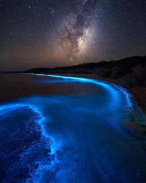 Milky Bioluminescence Bioluminescent Phytoplankton Or Sea Sparkles