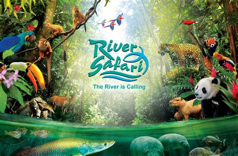 River Safari Opens In Singapore On The First Riverside Park In Asia