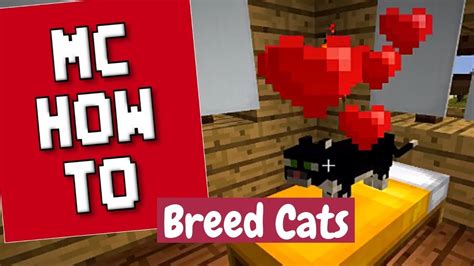 How To Breed Cats Minecraft Tutorial Youtube