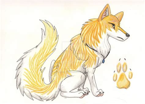 Golden Wolf By Wolfwhisperer123 On Deviantart