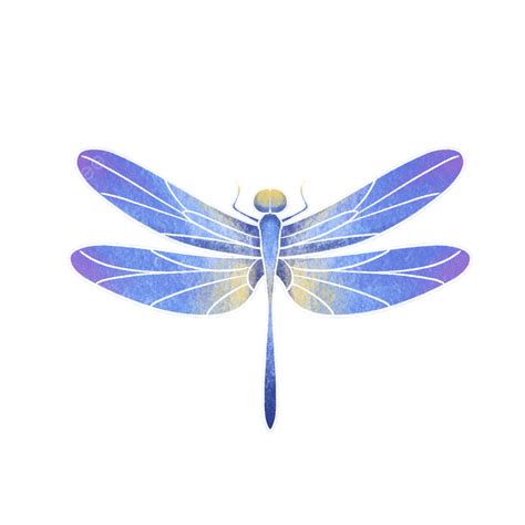 Watercolor Animal Dragonfly Dragonfly Animal Watercolor Png