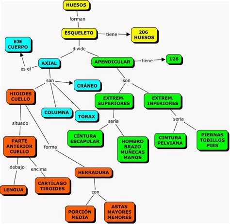 Mapa Conceptual De Alimentos Saludables Top Mapas My XXX Hot Girl