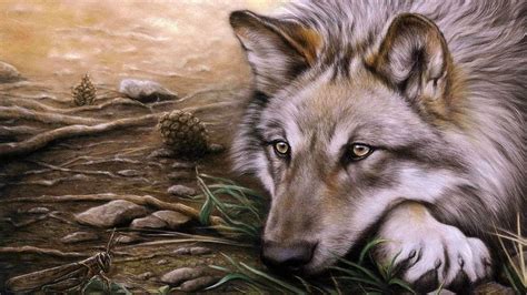 Wolf Wallpapers Drawing Wolf Background Images