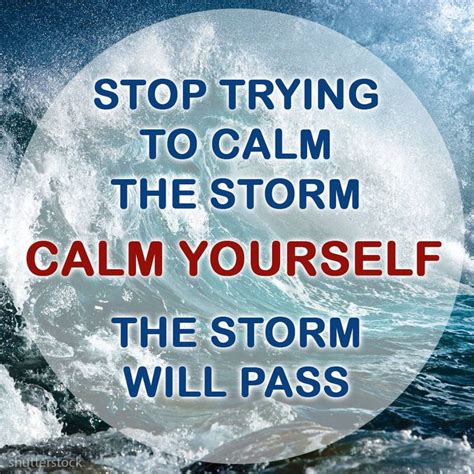 Maybe you would like to learn more about one of these? Author Unknown - Stop trying to calm the storm... (With images) | Calming the storm, Healing ...