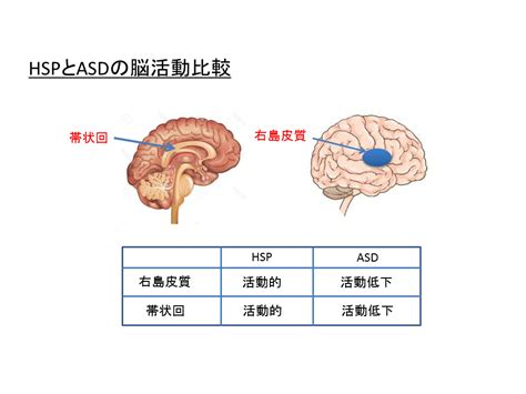 HSPハイリーセンシティブパーソンとASDの脳の働き方の違い 愛媛Natural Spi公式サイト HSPヒーリング