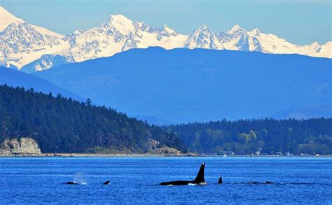 16 Top Rated Day Trips From Seattle Planetware