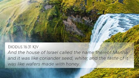 Exodus 1631 Kjv 4k Wallpaper And The House Of Israel Called The Name