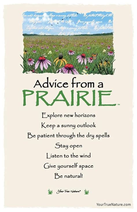 Advice From Nature Cards Shop Inspirational Art Cards Your True