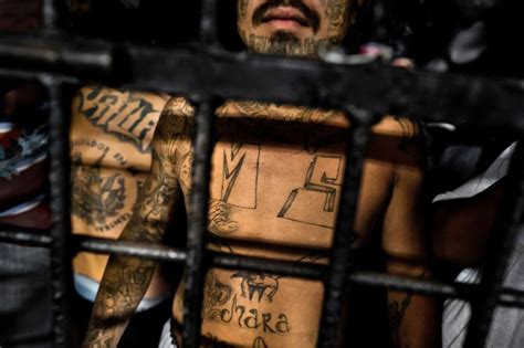 8 Alleged Ms 13 Members Indicted For Long Island Violence Murders