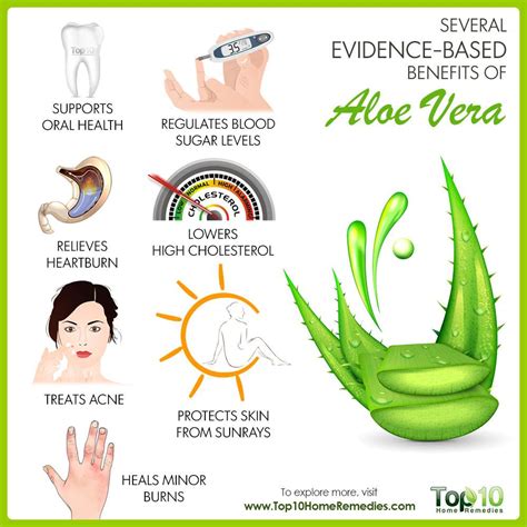 Evidence Based Benefits Of Aloe Vera For Health Top 10 Home Remedies