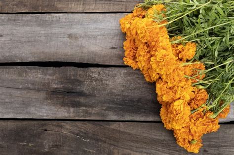 Preserve dried flowers with clear resin. How to Set a Fresh Flower in Resin | eHow