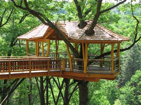 Tree Houses For Adults Barnorama