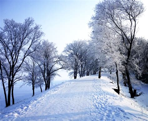 Bildet Landskap Tre Natur Snø Vinter Frost Vær årstid Trær