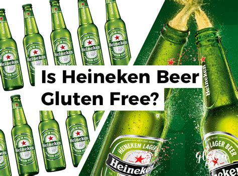 In this gluten free alcohol listing, you'll find all the beers, hard ciders, vodkas, rums, tequilas, and other hard liquors that are gluten free. Is Heineken Gluten Free? - GlutenBee