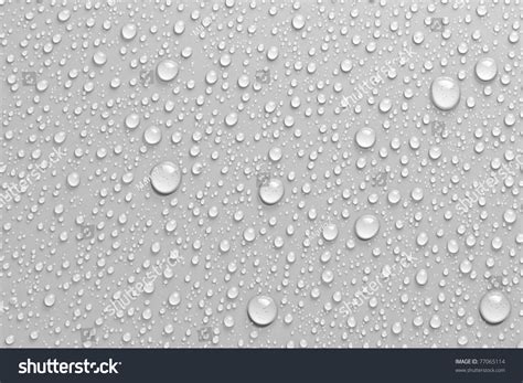 Water Drops An White Background Stock Photo 77065114 Shutterstock