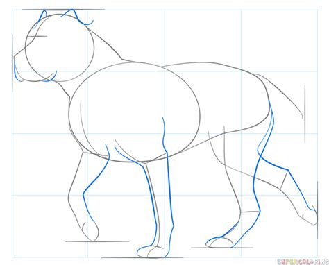How to draw a pitbull step by stephow to draw a pitbull dog,how to draw a pitbull step by step,how to draw a pitbull head,ho. How to draw a pitbull | Step by step Drawing tutorials