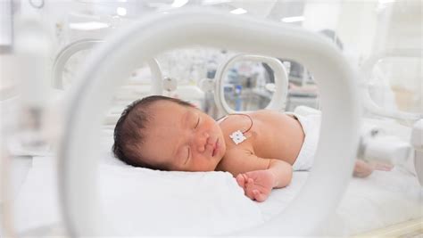 Level Iii Neonatal Intensive Care Unit Nicu At St Marys Medical Center