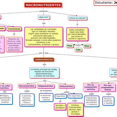 Mapa Conceptual Macronutrientes Pldxnwx N N