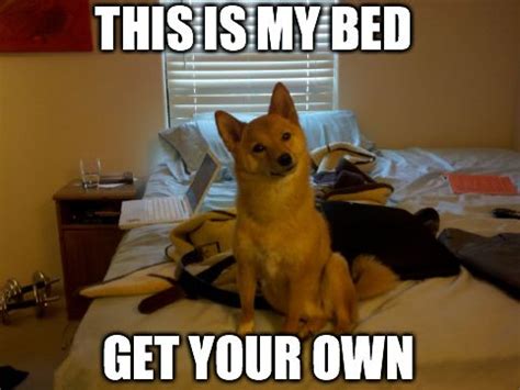 The steelers really need to get it together #steelersnation. 66 best images about Dog Memes on Pinterest | Runners ...