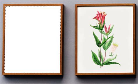 Scopri ricette, idee per la casa, consigli di stile e altre idee da provare. Memasukan Gambar Ke Dalam Bingkai Di Photoshop