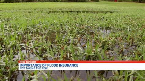 Agents Recommend Flood Insurance As Hurricane Season Heats Up Wear