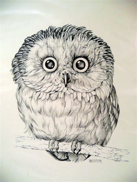 Owl Art Print Drawing By Besser Printed For Cunningham Art