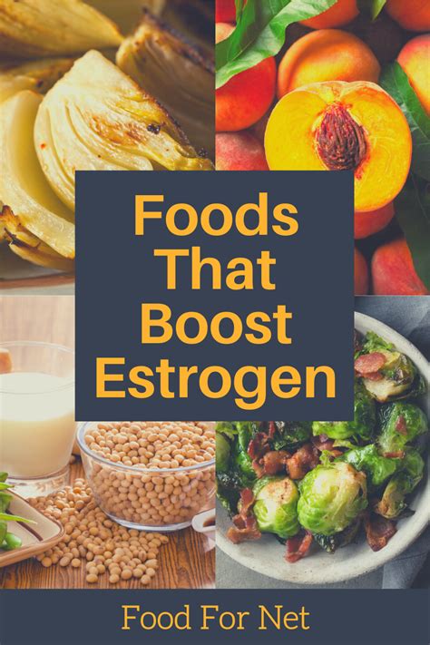 Estrogen Rich Foods And Foods That Boost Estrogen Food For Net
