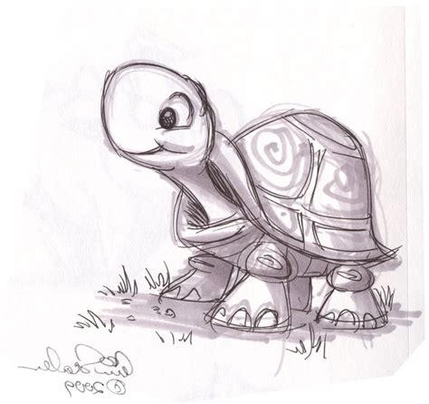 Cute Turtle Sketch At Paintingvalley Com Explore Collection Of Cute