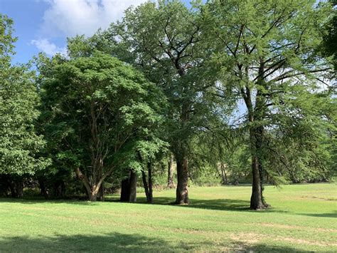 Book vacation home rentals with vrbo® and save. River Run Cabin on Guadalupe | Backroads Reservations