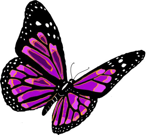 Flying Butterfly Png Image