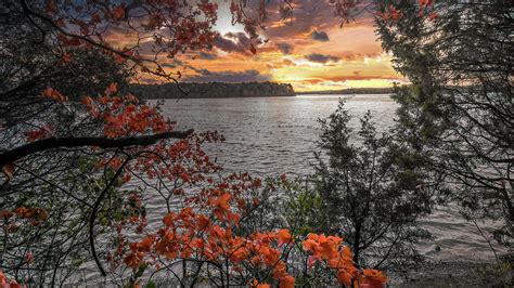 Leaves Lake Sunset Photograph By Randall Branham Fine Art America