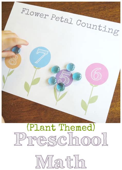 Plant Theme: Preschool Math Flower Petal Counting (Free Printable!)