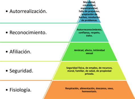 Pirámide De Maslow Explicación Detallada De La Teoría De Las Necesidades