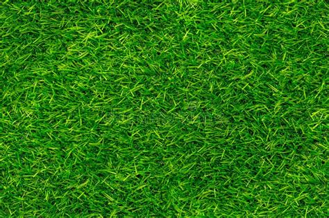 Green Grass Seamless Texture Seamless In Only Horizontal Dimension