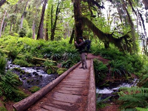 Five Easy Winterrainy Day Hikes On The Olympic Peninsula From Exotic