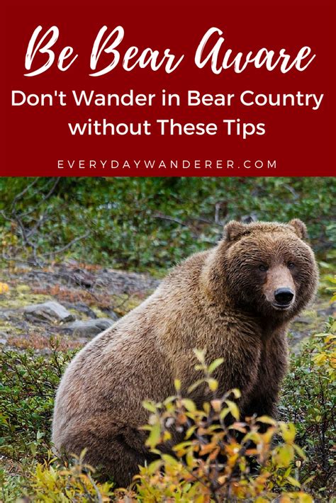 Be Bear Aware With These Tips To Avoid And Survive A Bear Encounter