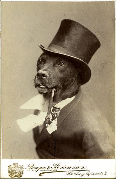 Gorgeous Vintage Dog Photos ~ Vintage Everyday