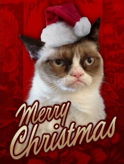 Download Grumpy Cat Christmas Wallpaper Gallery